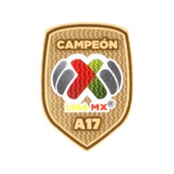 ESCUDO CAMPEON AP17